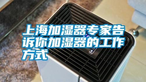 上海加濕器專(zhuān)家告訴你加濕器的工作方式
