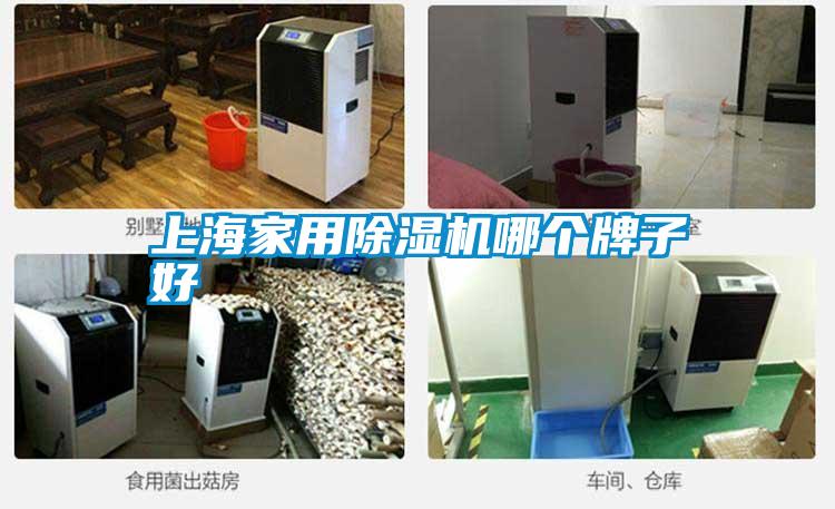 上海家用除濕機哪個(gè)牌子好