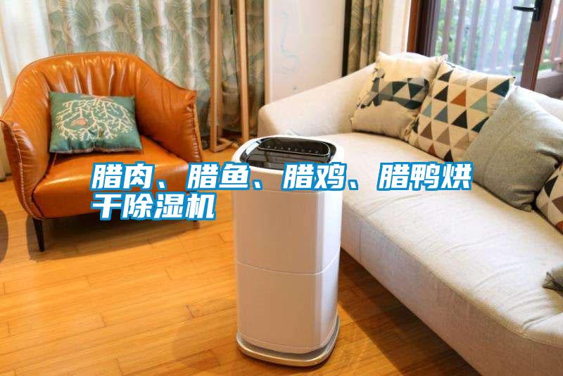 臘肉、臘魚(yú)、臘雞、臘鴨烘干除濕機