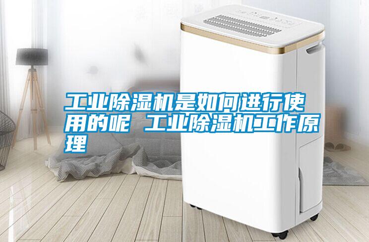 工業(yè)除濕機是如何進(jìn)行使用的呢 工業(yè)除濕機工作原理