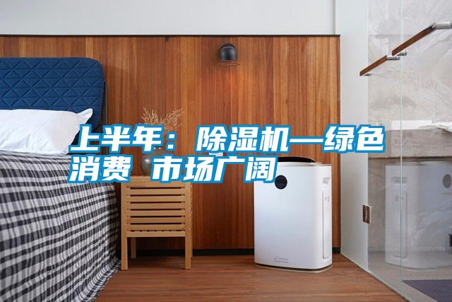 上半年：除濕機—綠色消費 市場(chǎng)廣闊