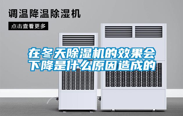 在冬天除濕機的效果會(huì )下降是什么原因造成的