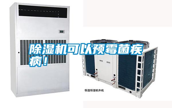 除濕機可以預霉菌疾??！