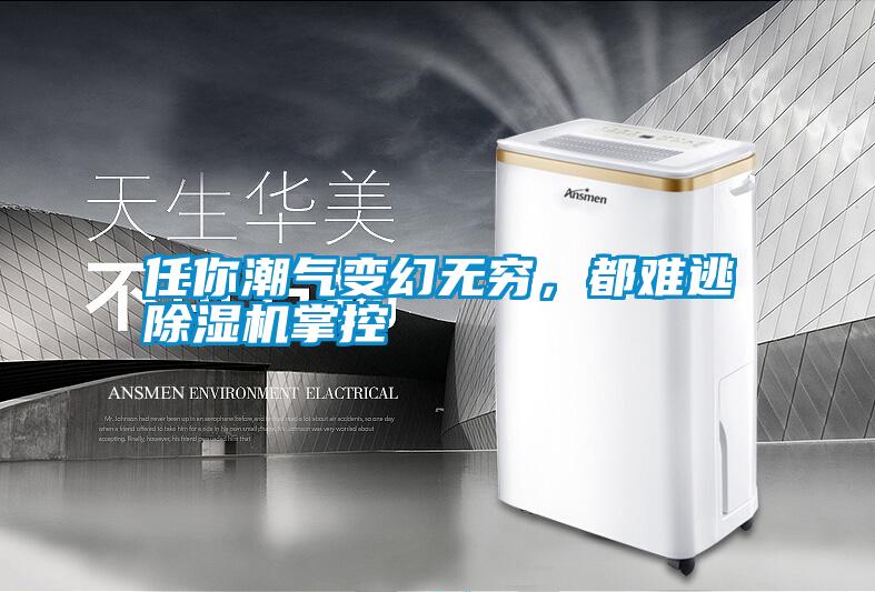 任你潮氣變幻無(wú)窮，都難逃除濕機掌控