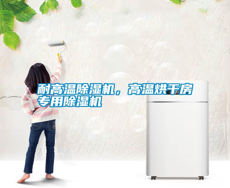 耐高溫除濕機，高溫烘干房專(zhuān)用除濕機