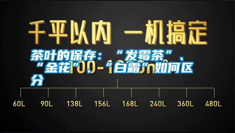 茶葉的保存：“發(fā)霉茶”、“金花”、“白霜”如何區分
