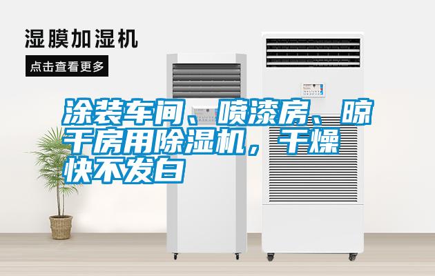 涂裝車(chē)間、噴漆房、晾干房用除濕機，干燥快不發(fā)白