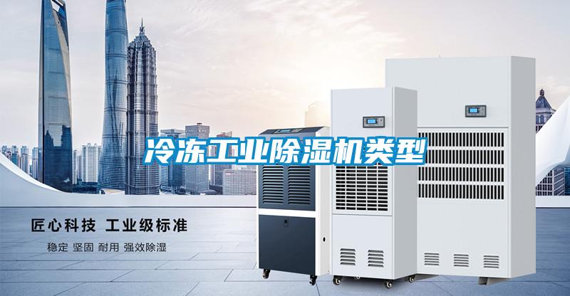 冷凍工業(yè)除濕機類(lèi)型