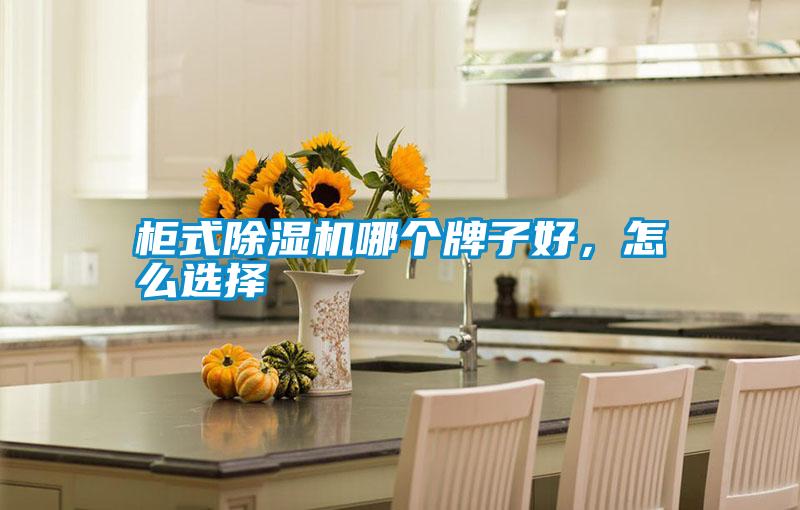 柜式除濕機哪個(gè)牌子好，怎么選擇