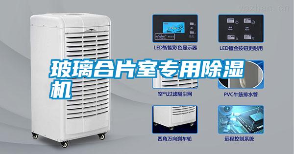 玻璃合片室專(zhuān)用除濕機