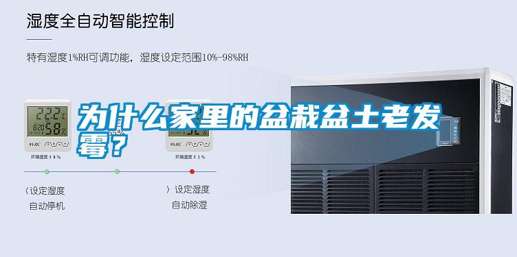 為什么家里的盆栽盆土老發(fā)霉？