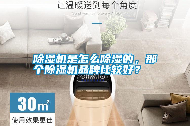 除濕機是怎么除濕的,那個(gè)除濕機品牌比較好?
