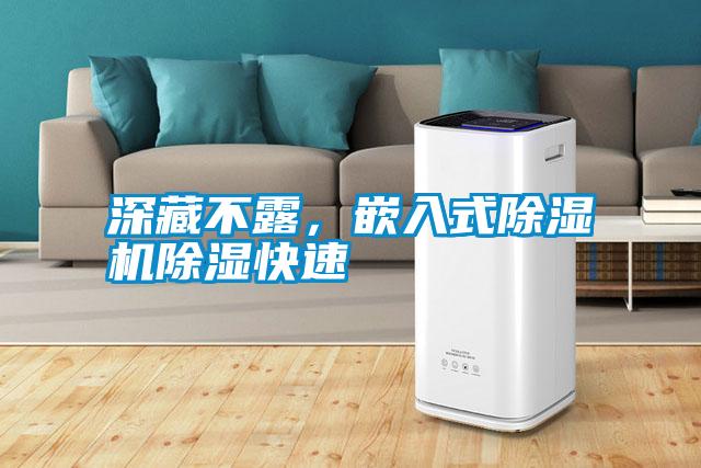 深藏不露，嵌入式除濕機除濕快速
