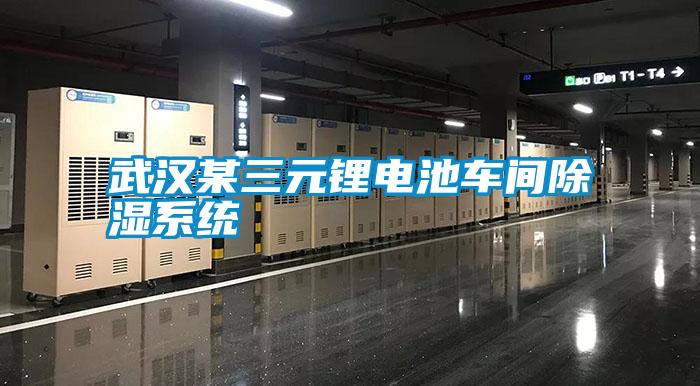 武漢某三元鋰電池車(chē)間除濕系統
