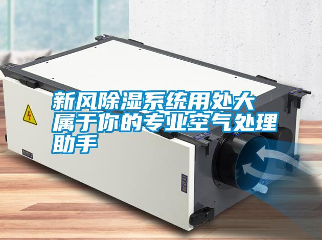 新風(fēng)除濕系統用處大 屬于你的專(zhuān)業(yè)空氣處理助手