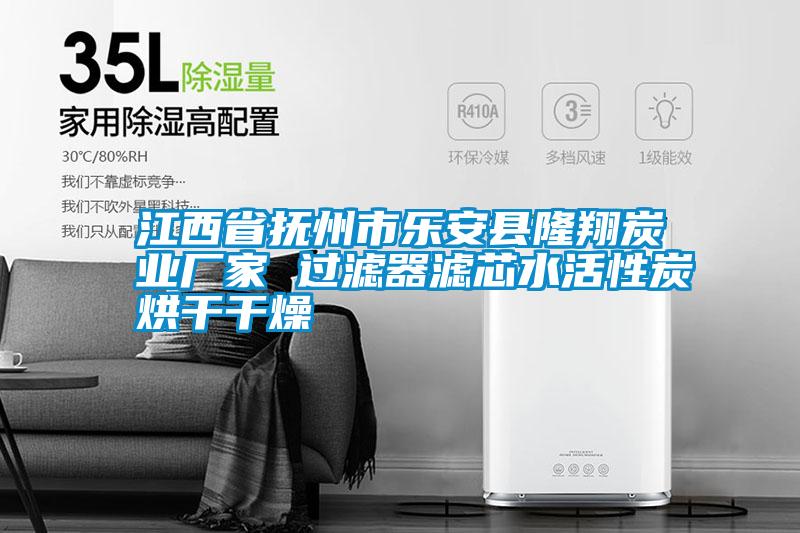 江西省撫州市樂(lè )安縣隆翔炭業(yè)廠(chǎng)家 過(guò)濾器濾芯水活性炭烘干干燥