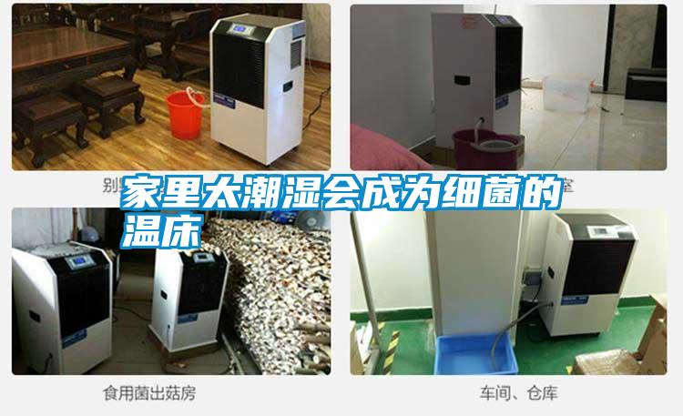家里太潮濕會(huì )成為細菌的溫床