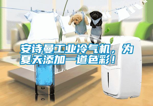 安詩(shī)曼工業(yè)冷氣機，為夏天添加一道色彩！