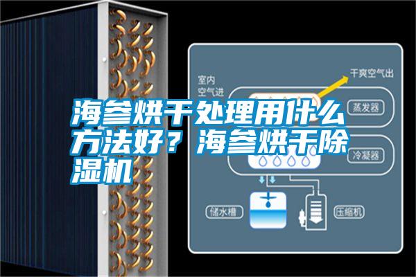 海參烘干處理用什么方法好？海參烘干除濕機