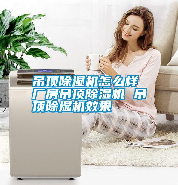 吊頂除濕機怎么樣 廠(chǎng)房吊頂除濕機 吊頂除濕機效果