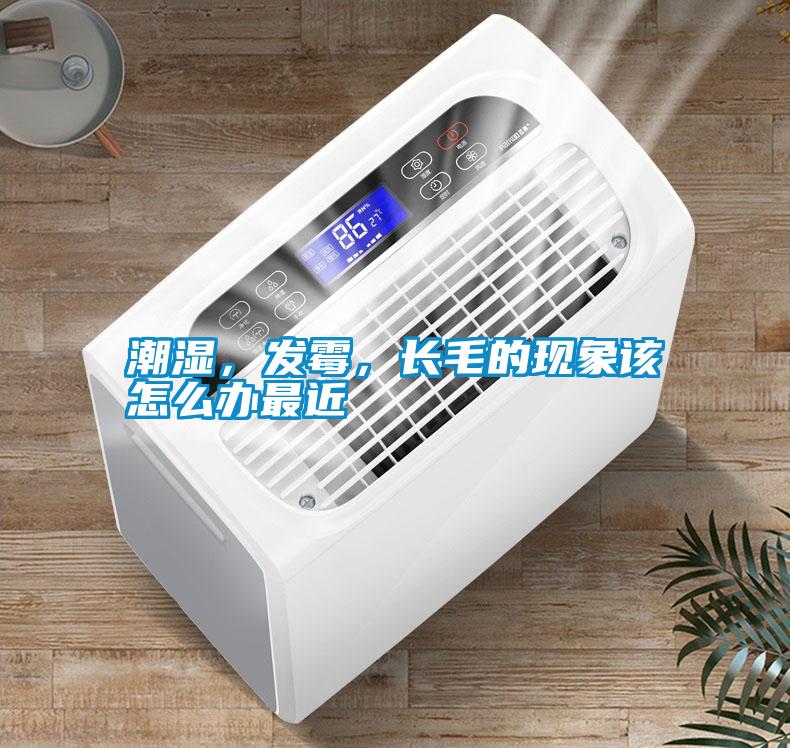 潮濕，發(fā)霉，長(cháng)毛的現象該怎么辦最近