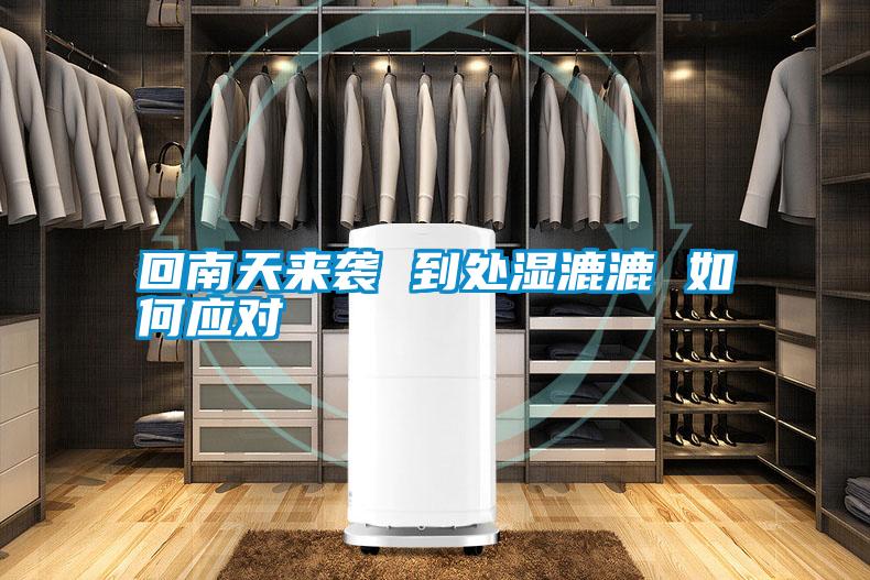 回南天來(lái)襲 到處濕漉漉 如何應對