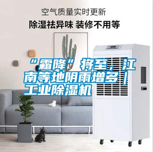 “霜降”將至，江南等地陰雨增多｜工業(yè)除濕機