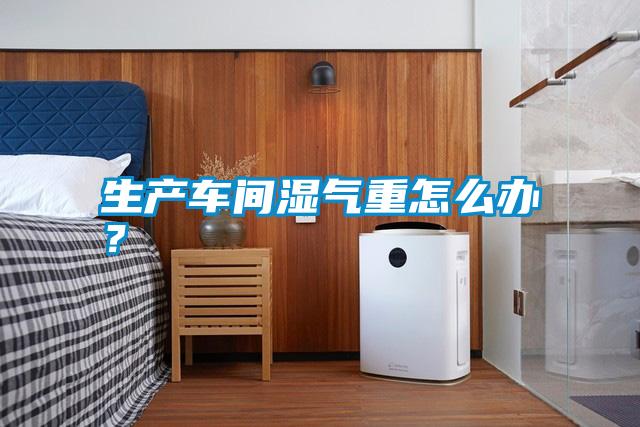 生產(chǎn)車(chē)間濕氣重怎么辦？