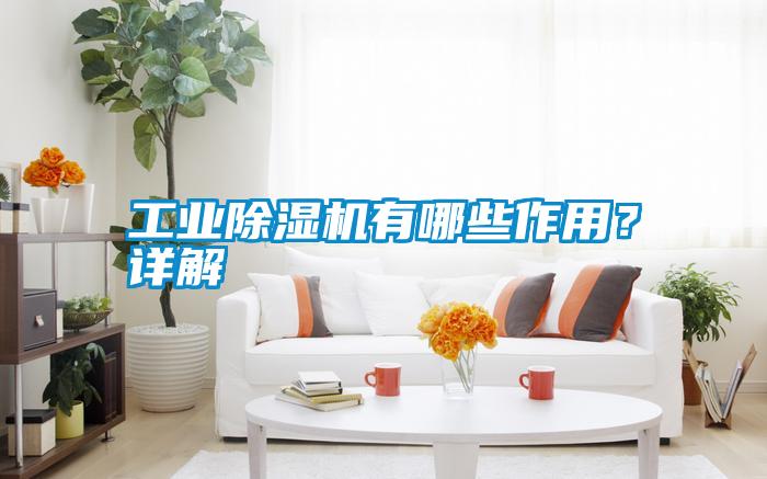 工業(yè)除濕機有哪些作用？詳解