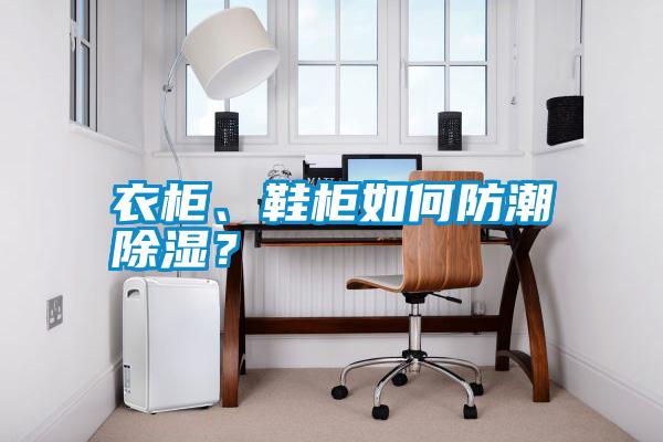 衣柜、鞋柜如何防潮除濕？