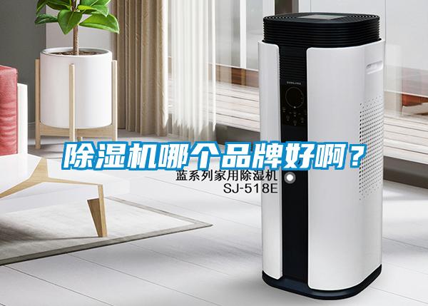 除濕機哪個(gè)品牌好??？