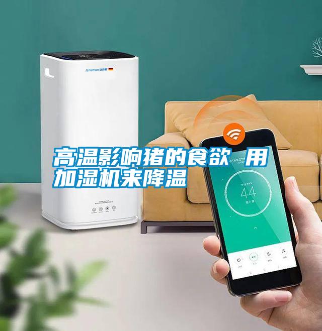 高溫影響豬的食欲 用加濕機來(lái)降溫