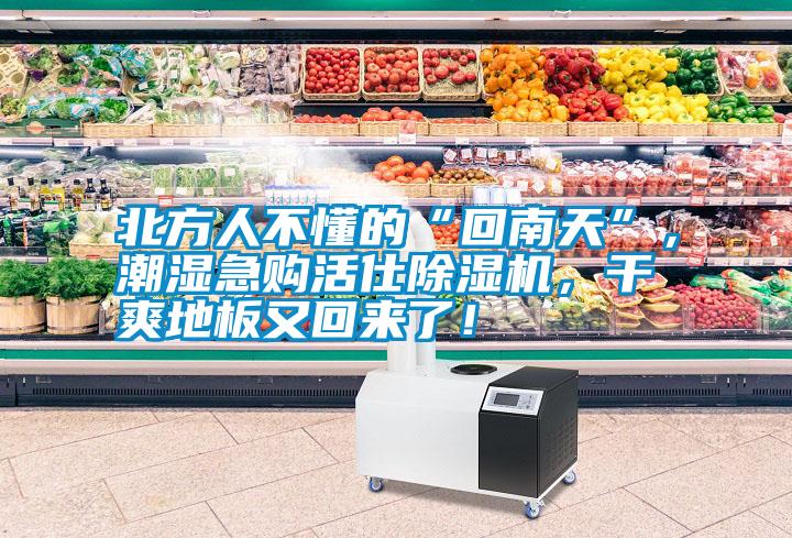 北方人不懂的“回南天”，潮濕急購活仕除濕機，干爽地板又回來(lái)了！