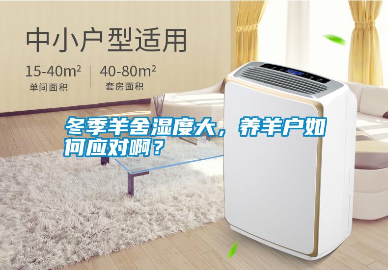 冬季羊舍濕度大，養羊戶(hù)如何應對??？