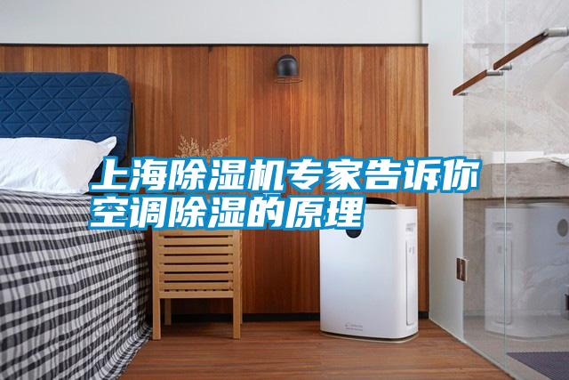 上海除濕機專(zhuān)家告訴你空調除濕的原理