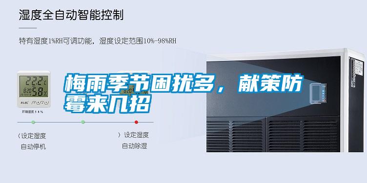 梅雨季節困擾多，獻策防霉來(lái)幾招