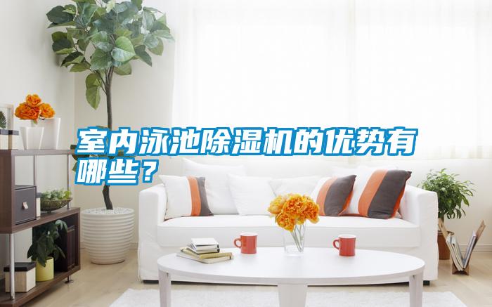 室內泳池除濕機的優(yōu)勢有哪些？