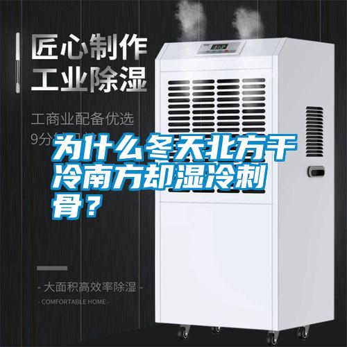 為什么冬天北方干冷南方卻濕冷刺骨？