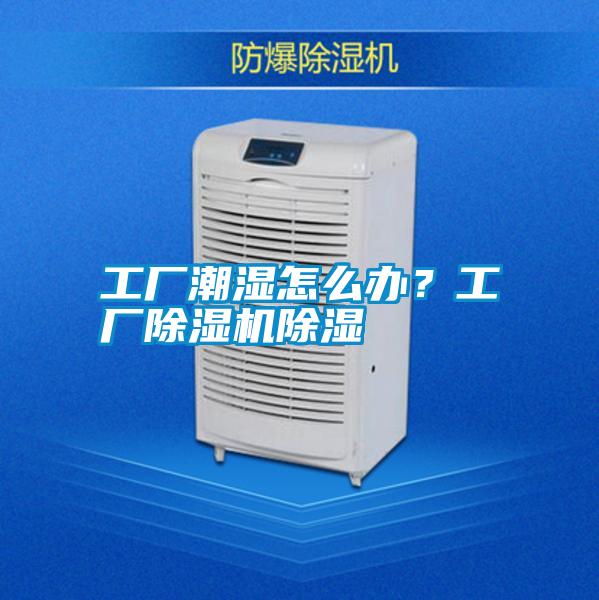 工廠(chǎng)潮濕怎么辦？工廠(chǎng)除濕機除濕