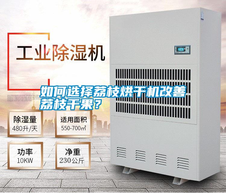 如何選擇荔枝烘干機改善荔枝干果？