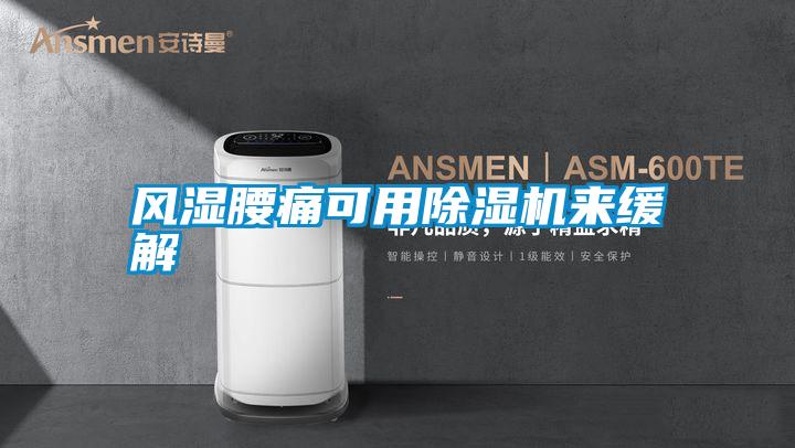 風(fēng)濕腰痛可用除濕機來(lái)緩解