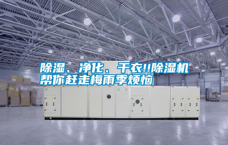 除濕、凈化、干衣!!除濕機幫你趕走梅雨季煩惱