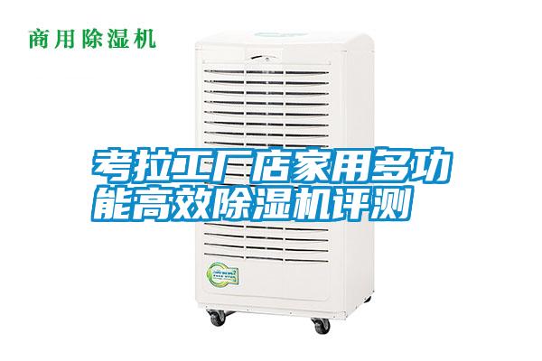 考拉工廠(chǎng)店家用多功能高效除濕機評測