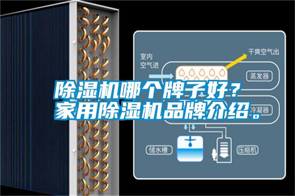 除濕機哪個(gè)牌子好？家用除濕機品牌介紹。