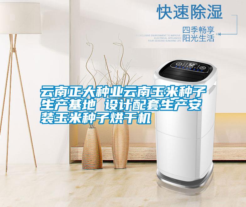 云南正大種業(yè)云南玉米種子生產(chǎn)基地 設計配套生產(chǎn)安裝玉米種子烘干機