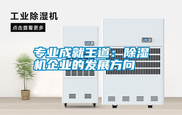 專(zhuān)業(yè)成就王道：除濕機企業(yè)的發(fā)展方向