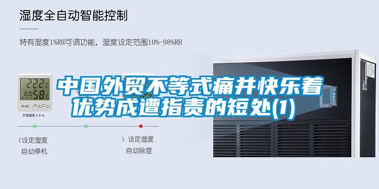 中國外貿不等式痛并快樂(lè )著(zhù) 優(yōu)勢成遭指責的短處(1)