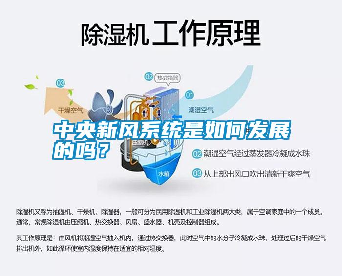 中央新風(fēng)系統是如何發(fā)展的嗎？