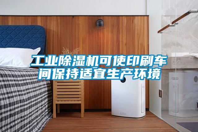 工業(yè)除濕機可使印刷車(chē)間保持適宜生產(chǎn)環(huán)境