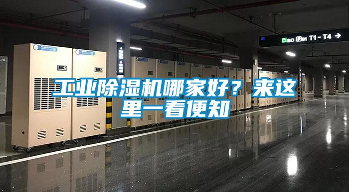 工業(yè)除濕機哪家好？來(lái)這里一看便知